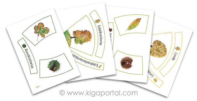 kigaportal