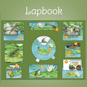 LAPBOOKS