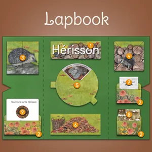 En savoir plus sur les lapbooks