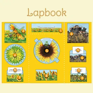 En savoir plus sur les lapbooks