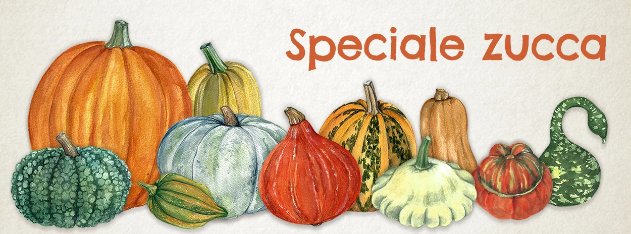 https://ddqnzlmv7srmw.cloudfront.net/homepage/blocks/133/it-1-slider-desktop-pumpkin-specialLKIgJ.webp