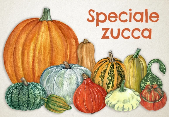 https://ddqnzlmv7srmw.cloudfront.net/homepage/blocks/133/it-1-slider-mobil-pumpkin-specialSCUtN.webp
