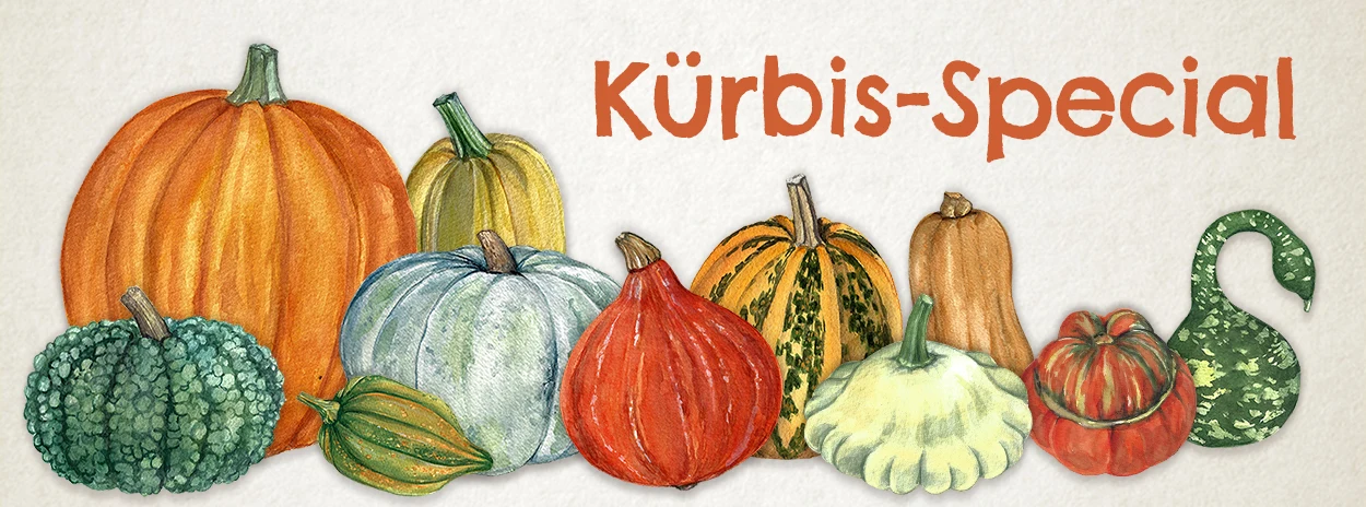 https://ddqnzlmv7srmw.cloudfront.net/homepage/blocks/134/de-1-slider-desktop-kuerbis-specialcTKEL.webp