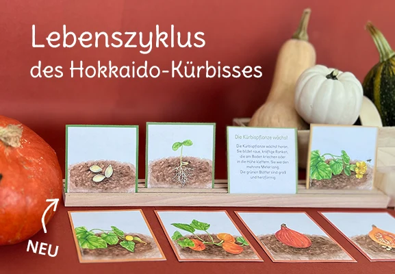 https://ddqnzlmv7srmw.cloudfront.net/homepage/blocks/134/de-slider-mobil-lebenszyklus-des-hokkaido-kuerbissesmnIME.webp