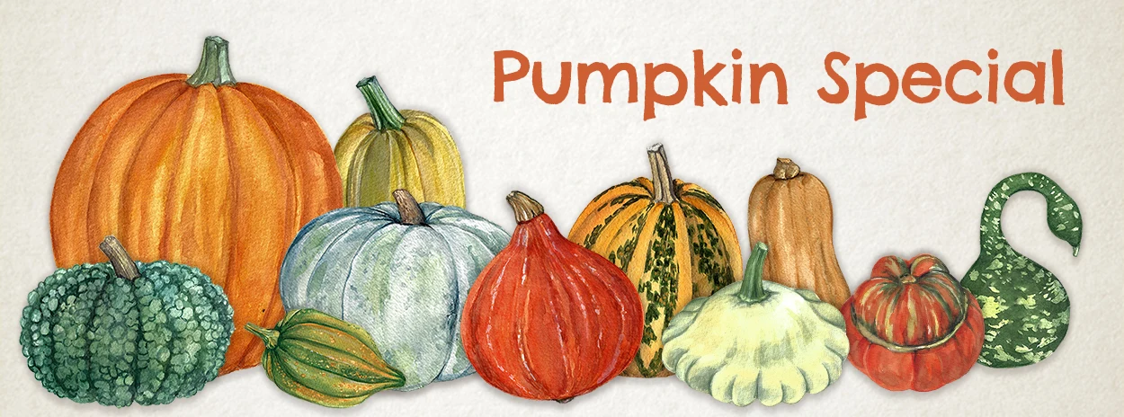 https://ddqnzlmv7srmw.cloudfront.net/homepage/blocks/15/en-1-slider-desktop-pumpkin-specialFkCZn.webp