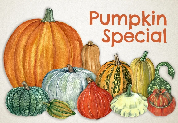 https://ddqnzlmv7srmw.cloudfront.net/homepage/blocks/15/en-1-slider-mobil-pumpkin-specialgPfHM.webp