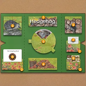 LAPBOOK