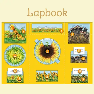 Learn more about lapbooks