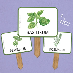 NEUE IDEEN