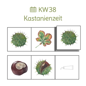 WOCHENPLAN