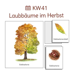 WOCHENPLAN