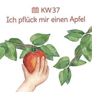 Bildungsangebote zum Thema Apfel
