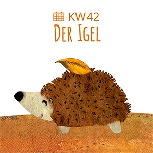 Bildungsangebote zum Thema Herbst