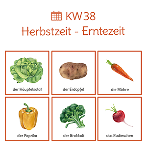 Bildungsangebote zum Thema Apfel