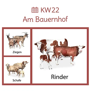 WOCHENPLAN
