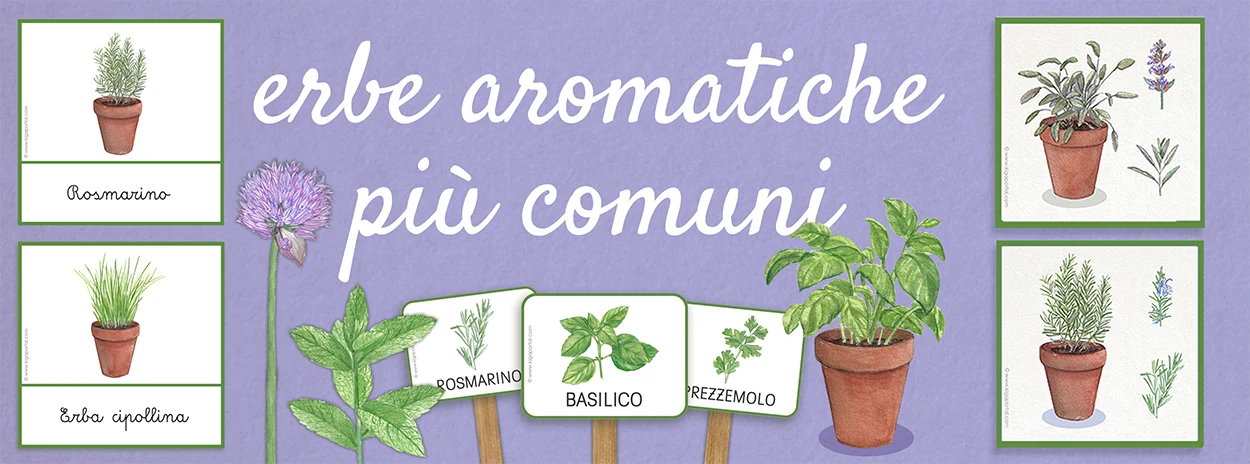 https://ddqnzlmv7srmw.cloudfront.net/homepage/blocks/30/it-slider-d-cartellini-per-piante-erbe-aromatiche-scuola-dell-infanzia-kigaportal-asilo-nido-gioco-di-ruolo-progetto-gioco-di-ruolo-primavera-giardinoqOsTK.webp
