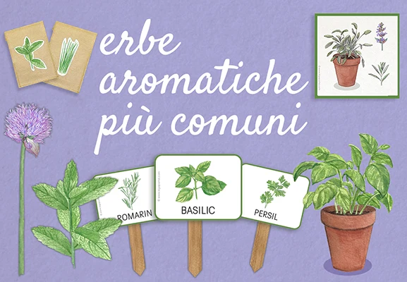 https://ddqnzlmv7srmw.cloudfront.net/homepage/blocks/30/it-slider-m-cartellini-per-piante-erbe-aromatiche-scuola-dell-infanzia-kigaportal-asilo-nido-gioco-di-ruolo-progetto-gioco-di-ruolo-primavera-giardinofUvkZ.webp