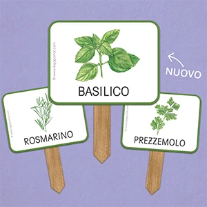 NUOVE IDEE