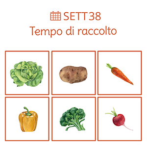 scheda con immagini di animali
