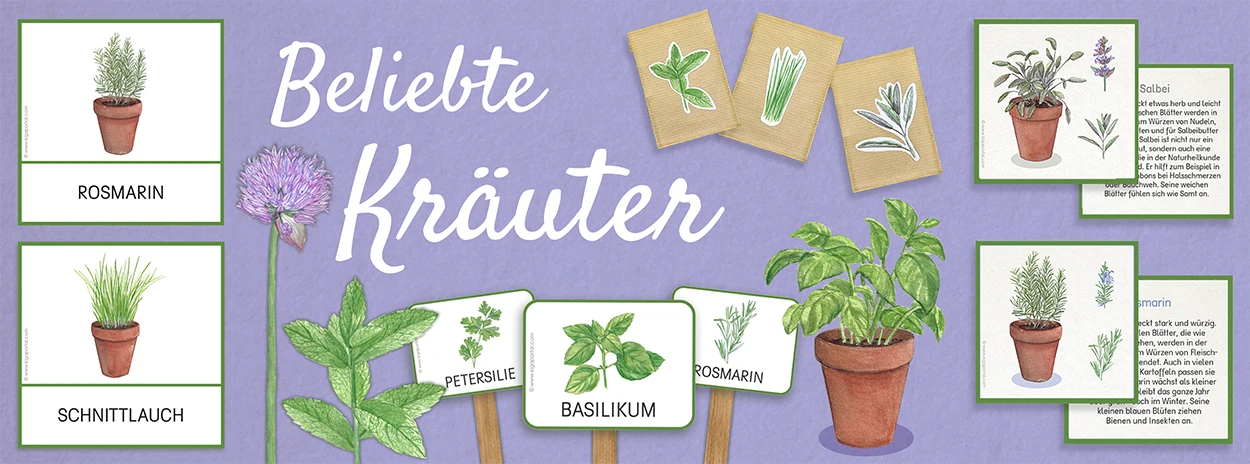 https://ddqnzlmv7srmw.cloudfront.net/homepage/blocks/61/de-slider-d-beliebte-kraeuter-natur-kindergarten-kigapportal-gartenkraeuter-basilikum-salbeinKDrm.webp