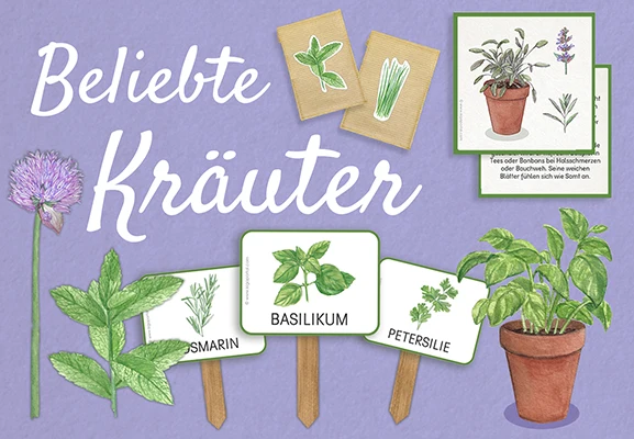 https://ddqnzlmv7srmw.cloudfront.net/homepage/blocks/61/de-slider-m-beliebte-kraeuter-natur-kindergarten-kigapportal-gartenkraeuter-basilikum-salbeixrbyS.webp